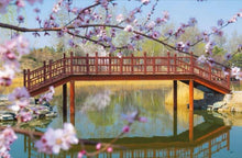 Amazing Gardens - Interior 3
