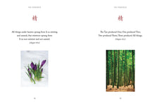 Tao Wisdom - Interior 3