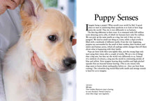 Puppies - Interior 4