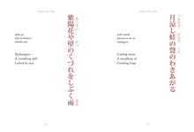 Haiku - Interior 4