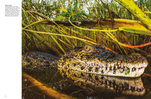 Crocodiles, Alligators & Lizards - Interior 4