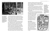 Celts - Interior 4
