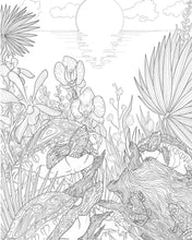 The Florida State Coloring Book - Interior 4