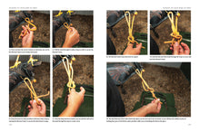Falconry - Interior 4