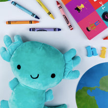 Hermelindo, Axolotl Plush Toy - Interior 4