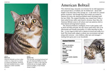 Cat Breeds - Interior 4