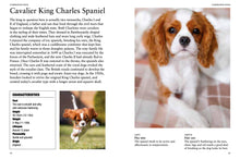 Dog Breeds - Interior 4