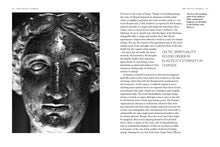 Celtic Myths - Interior 4