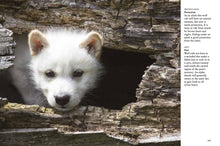 Wolves - Interior 4