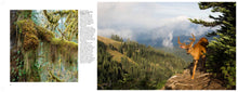 Forests - Interior 4