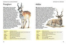 Mammals - Interior 4