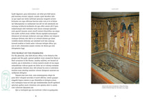 Tutankhamun Illustrated - Interior 4