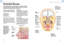 Human Anatomy - Interior 4