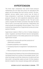 The Vagus-Immune Connection - Interior 4