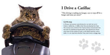 Cats Gone Bad - Interior 4