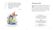 Fairies - Interior 4