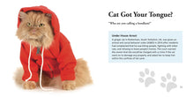 Cats Gone Bad - Interior 5