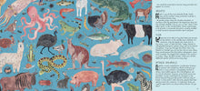 Markets - Interior 5