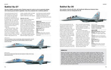 Aircraft, Tanks and Artillery of the Ukraine War - Interior 5