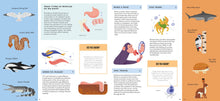 Foldout Anatomy - Interior 5
