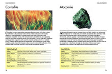 Minerals and Gemstones - Interior 5