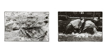The Woodcutter's Christmas - Interior 5