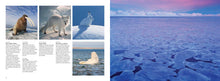 Arctic - Interior 5