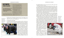 Bodies of Evidence - Interior 5