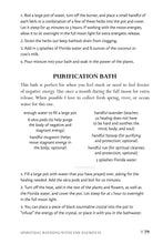 African American Herbalism - Interior 5