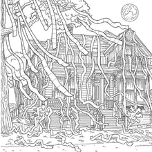 Just a Bunch of Hocus Pocus - Interior 5