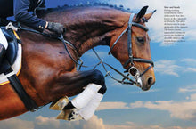 Horses - Interior 5