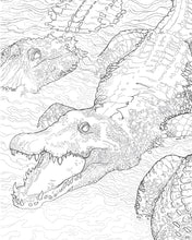 The Florida State Coloring Book - Interior 5
