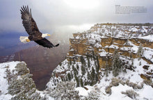 Birds of Prey - Interior 5