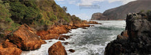 Coast - Interior 5
