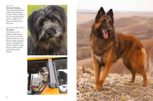 Dogs - Interior 5