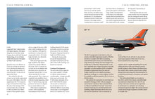 F-16 Fighting Falcon - Interior 5