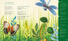 The Illustrated Emily Dickinson - Interior 5