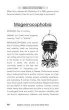 Spiders, Clowns and Great Mole Rats - Interior 5