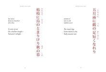 Haiku - Interior 5
