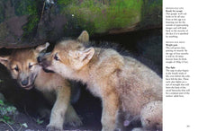 Wolves - Interior 5