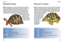 Pets - Interior 5