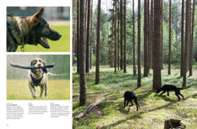 Dogs - Interior 5