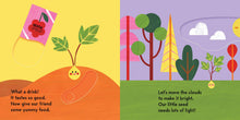 Grow, Seed, Grow! - Interior 5