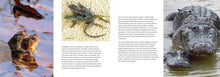 Sex and the Animals - Interior 5
