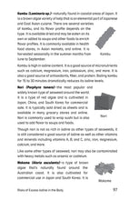 The Iodine Balancing Handbook - Interior 5