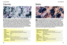 Minerals and Gemstones - Interior 6