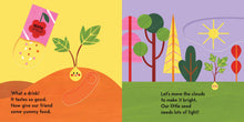 Grow, Seed, Grow! - Interior 6