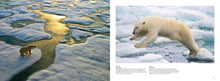 Arctic - Interior 6