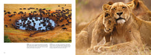 Africa - Interior 6
