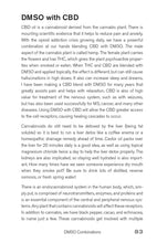 Healing with DMSO - Interior 6